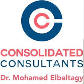 Consolidated Consultant Logo